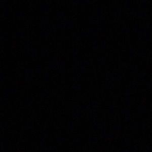 Meet your Posher, Avis